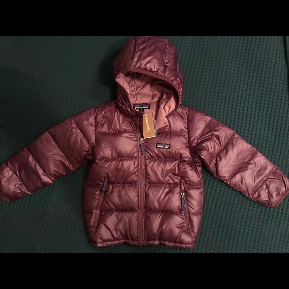 Patagonia Baby Hi-Loft Down Sweater Hoody